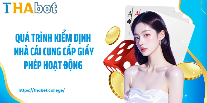 Quá trình kiểm định nhà cái cung cấp giấy phép hoạt động